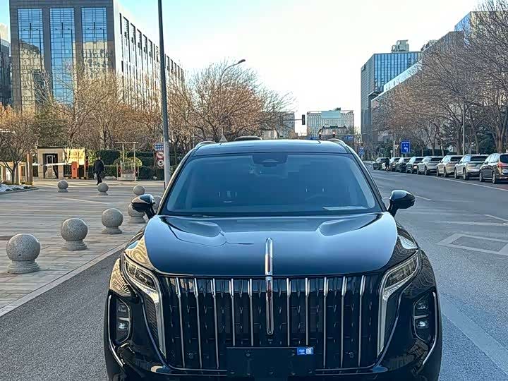 Фото 2 - Hongqi HS7 Hybrid