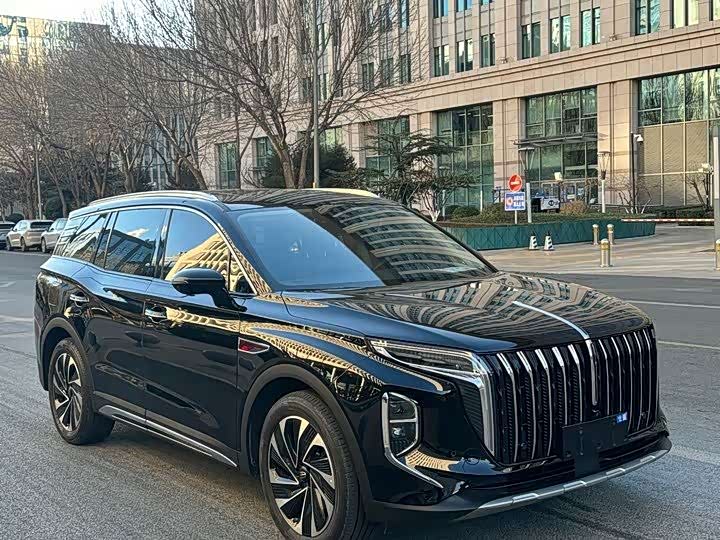 Фото 3 - Hongqi HS7 Hybrid