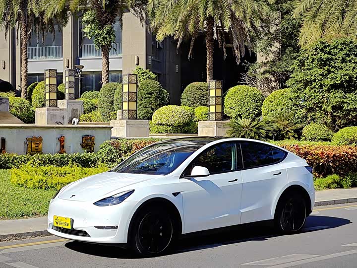 Фото 1 - Tesla Model Y
