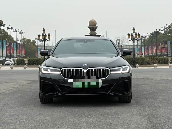 Фото 3 - BMW 5 Series Hybrid