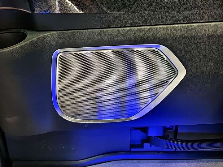 Фото 5 - Hongqi HQ9 Hybrid