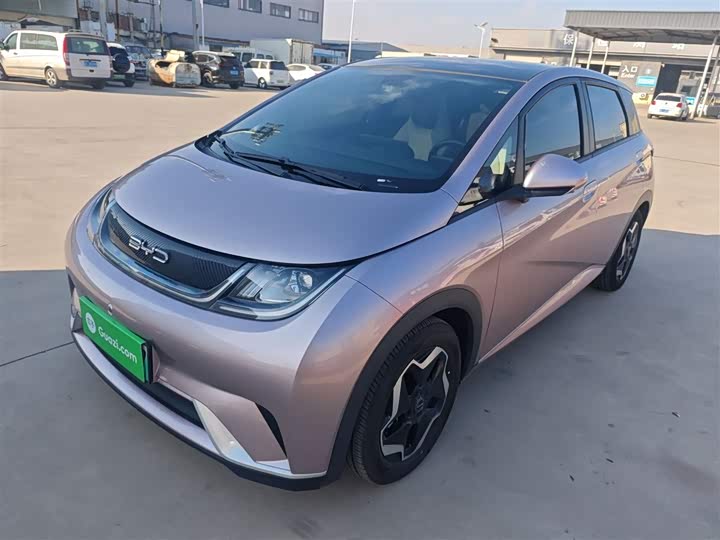 Фото 2 - BYD Dolphin