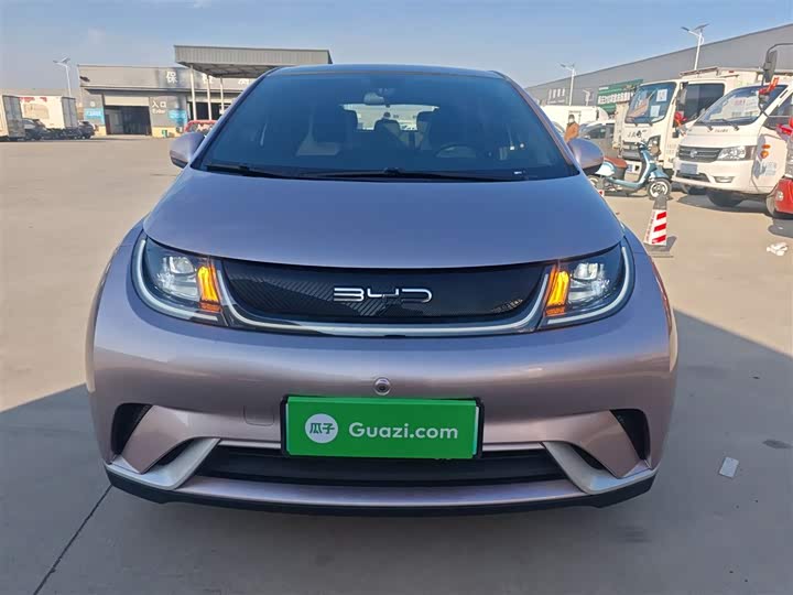 Фото 3 - BYD Dolphin