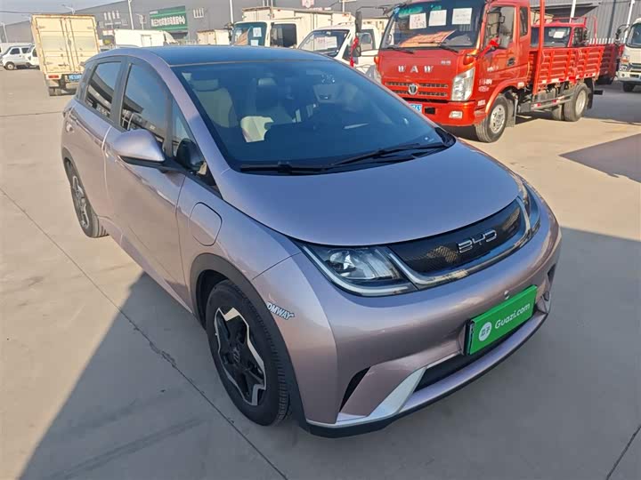 Фото 4 - BYD Dolphin