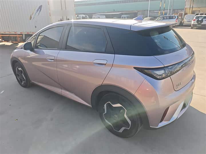 Фото 5 - BYD Dolphin