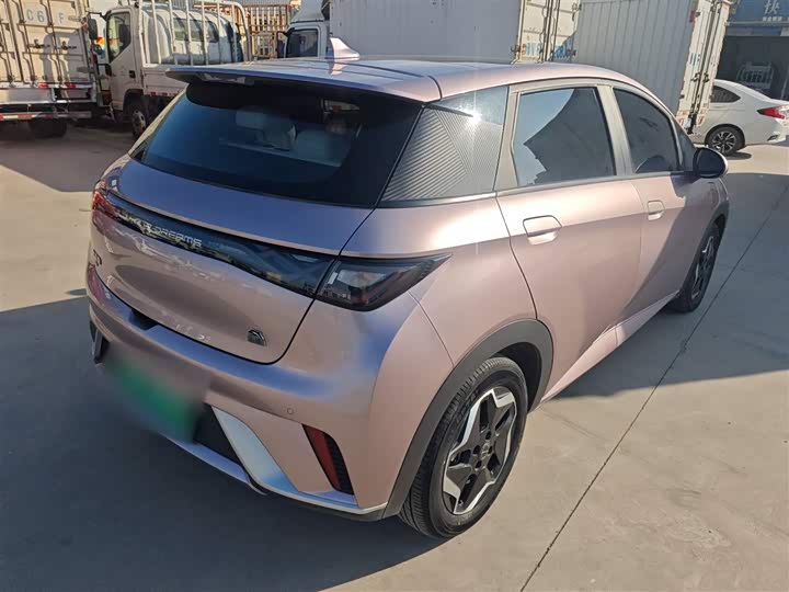 Фото 7 - BYD Dolphin