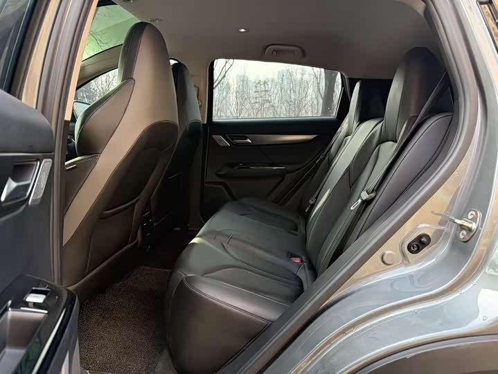 Фото 5 - XPeng G3