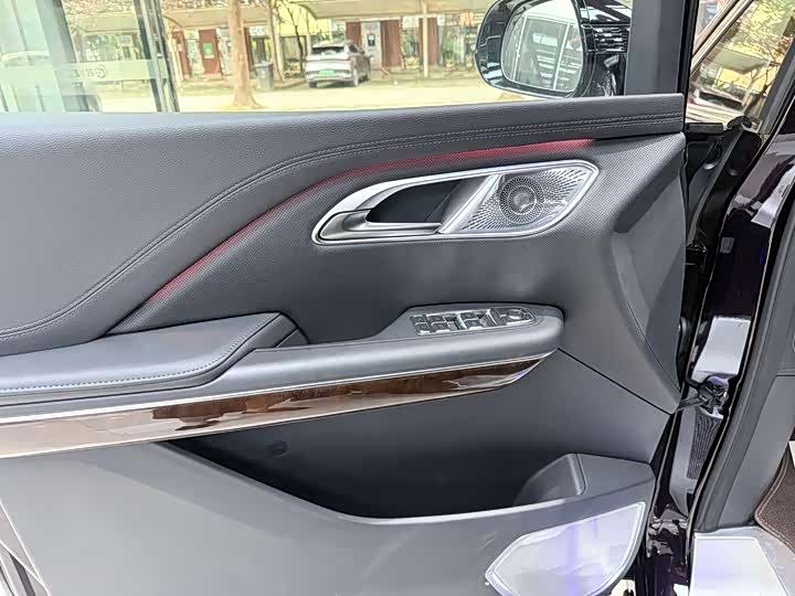 Фото 6 - Hongqi HQ9 Hybrid