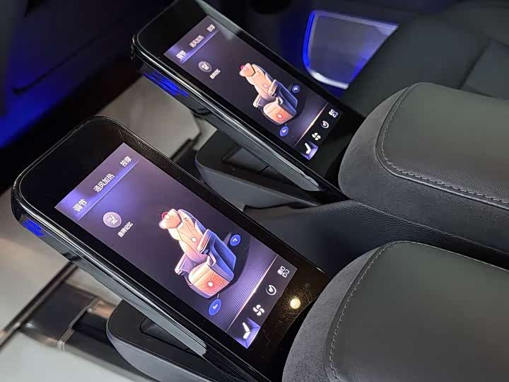 Фото 7 - Hongqi HQ9 Hybrid