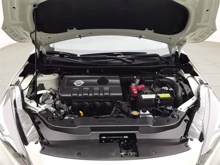 Фото 6 - Nissan Lannia