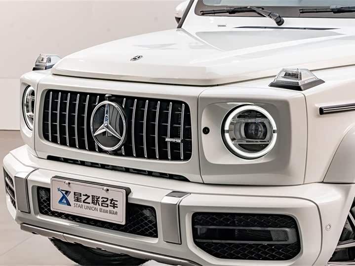 Фото 4 - Mercedes-Benz G-Class