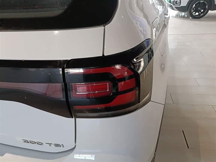 Фото 8 - Volkswagen Tacqua