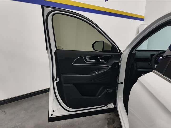 Фото 7 - Chery Fulwin T9