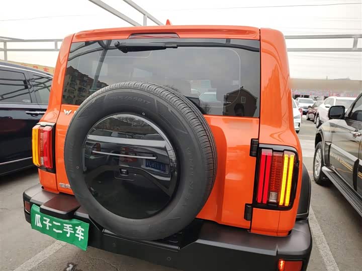 Фото 6 - Tank 300