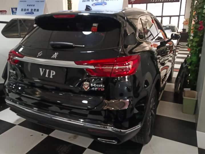 Фото 3 - Hongqi HS5