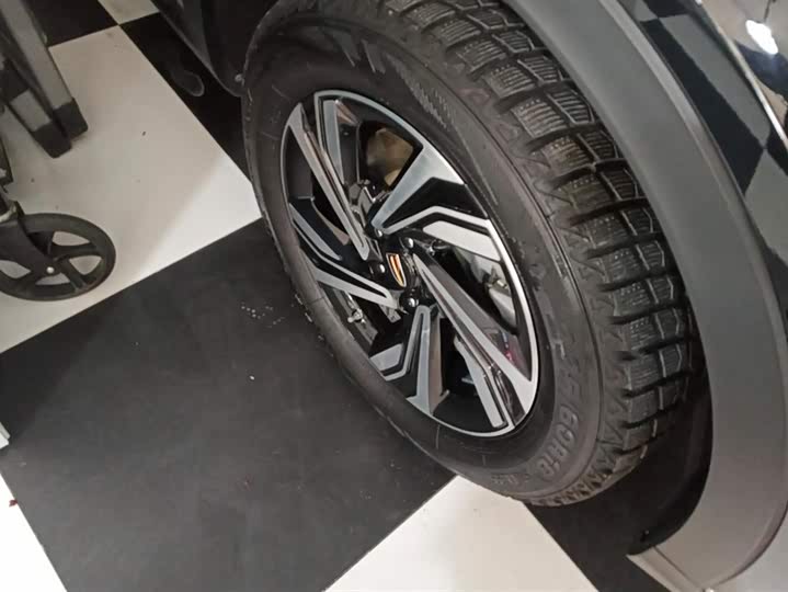 Фото 6 - Hongqi HS5