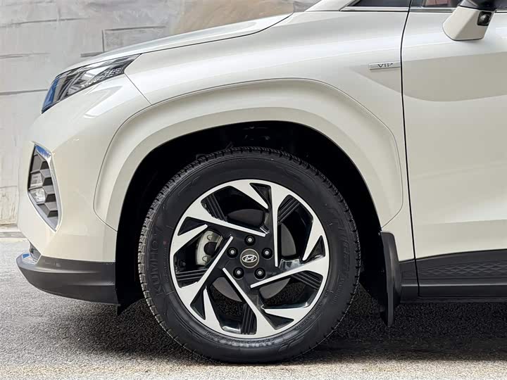 Фото 6 - Hyundai Custo