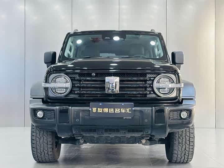 Фото 2 - Tank 300