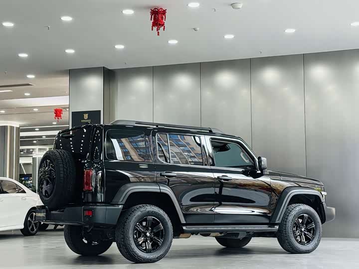 Фото 8 - Tank 300