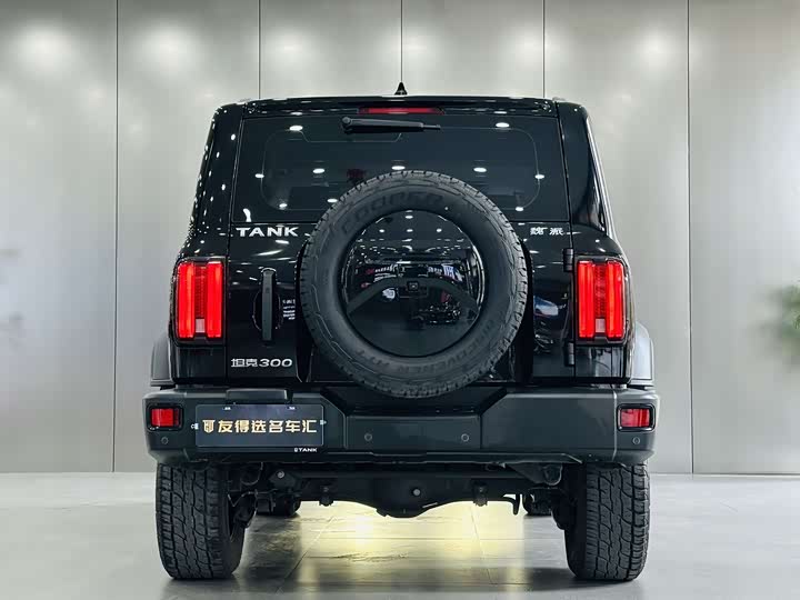 Фото 9 - Tank 300