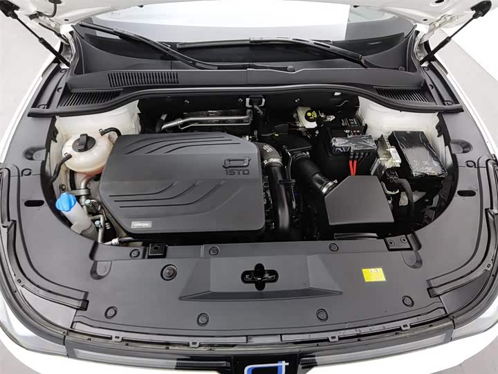 Фото 6 - Bestune T90