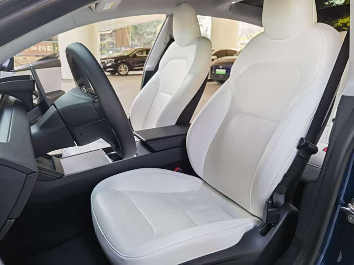 Фото 6 - Tesla Model 3