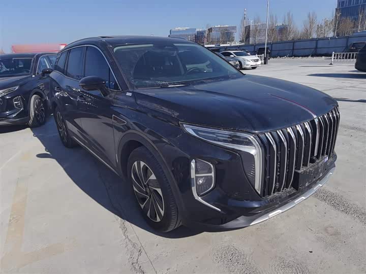 Фото 4 - Hongqi HS7 Hybrid