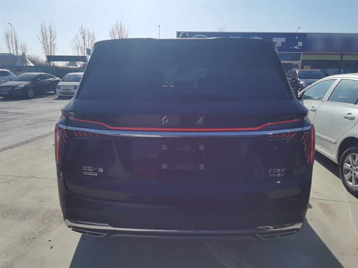 Фото 6 - Hongqi HS7 Hybrid