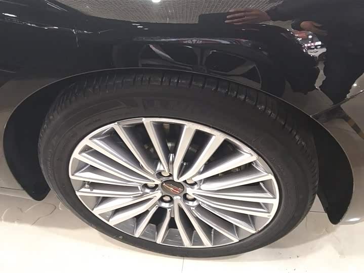 Фото 6 - Hongqi H9