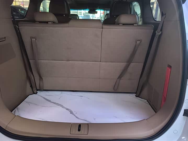 Фото 4 - Buick GL8 ES