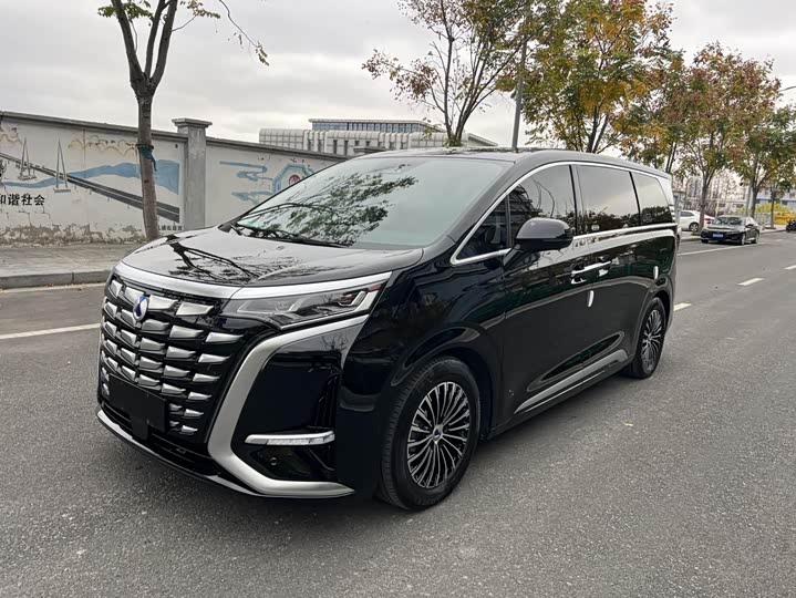 Фото 1 - Denza D9