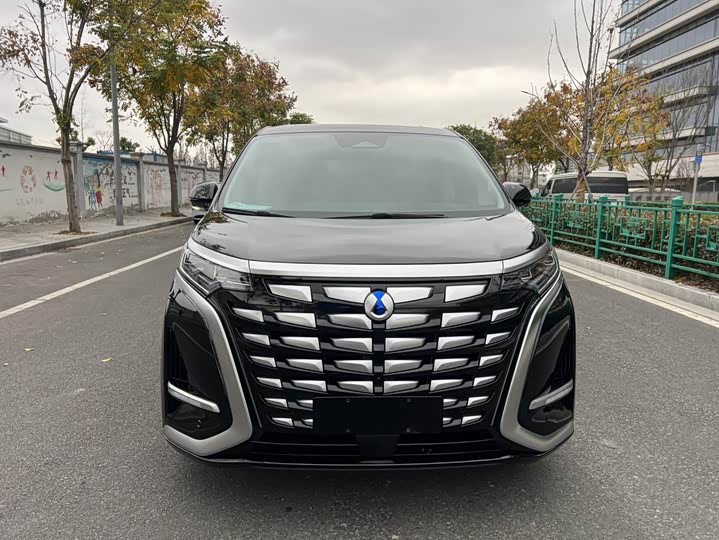 Фото 2 - Denza D9