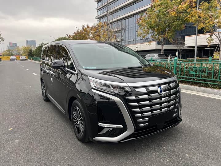 Фото 3 - Denza D9