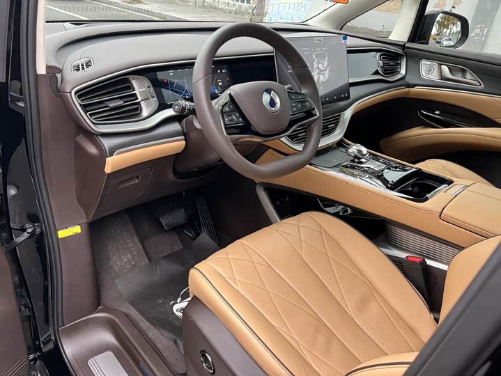 Фото 9 - Denza D9