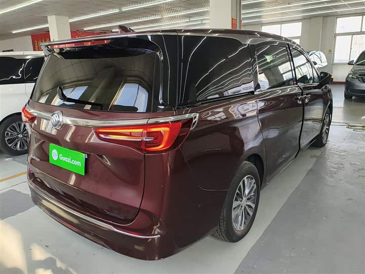 Фото 7 - Buick GL8 ES