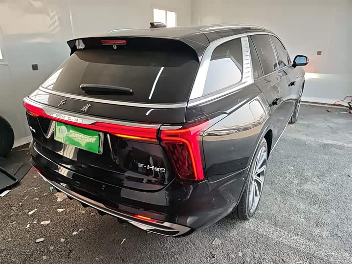 Фото 7 - Hongqi E-HS9