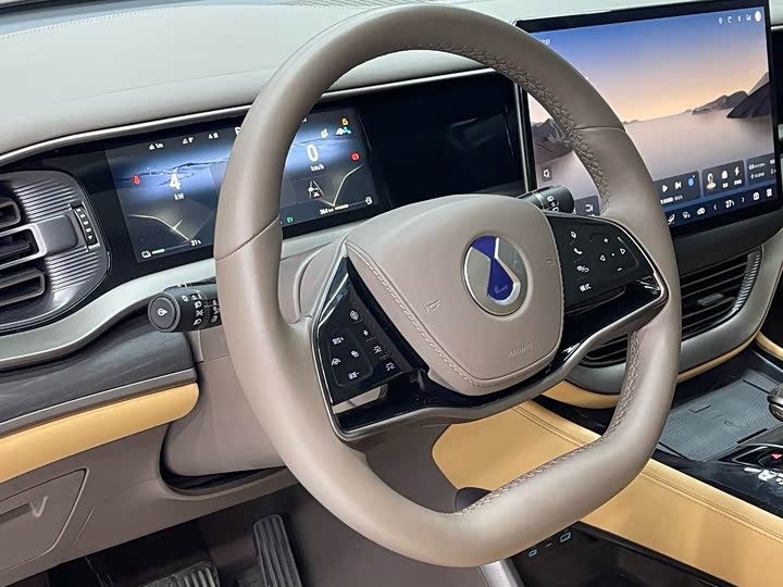 Фото 6 - Denza D9