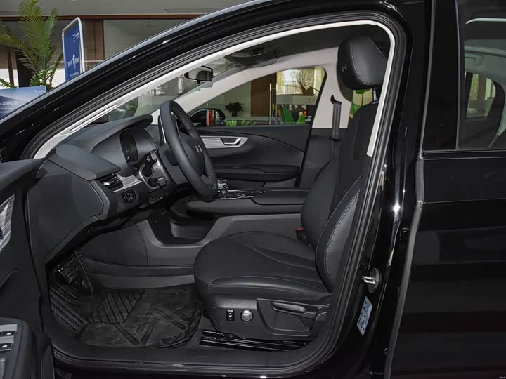 Фото 9 - Hongqi E-QM5