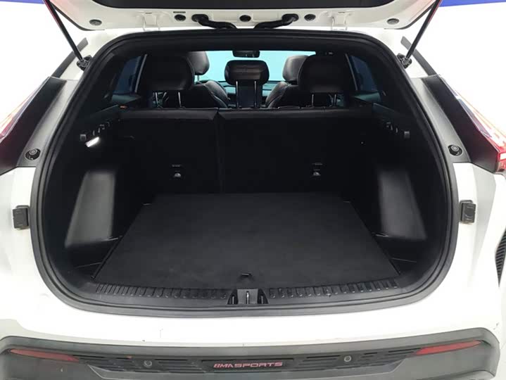 Фото 4 - Geely Atlas