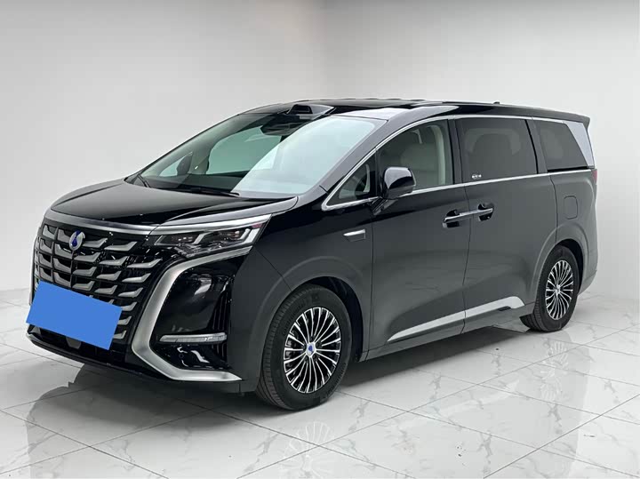 Фото 1 - Denza D9