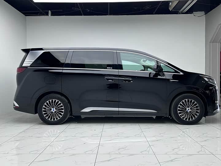 Фото 2 - Denza D9