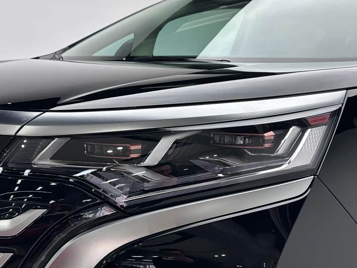 Фото 3 - Denza D9