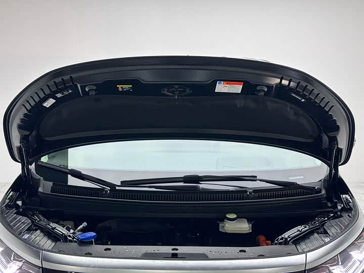 Фото 4 - Denza D9