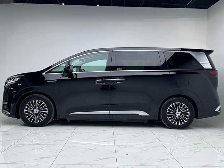 Фото 6 - Denza D9