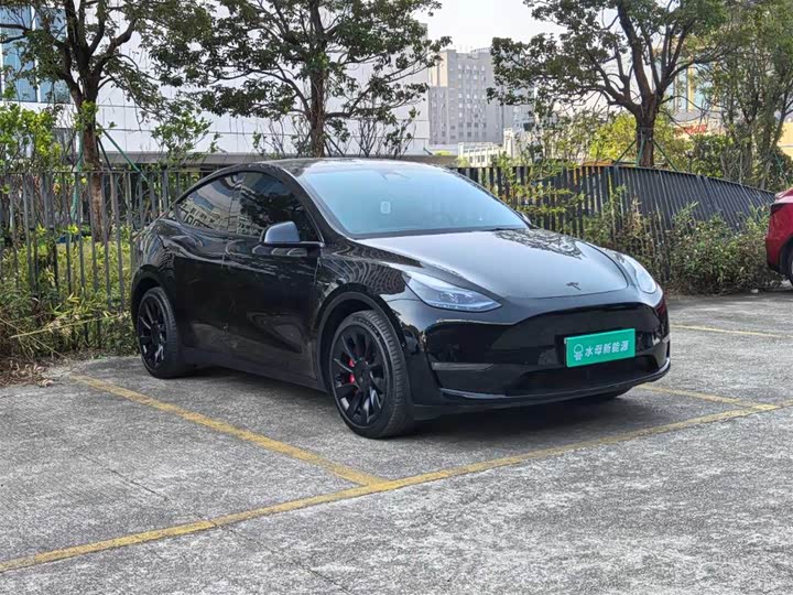 Фото 3 - Tesla Model Y