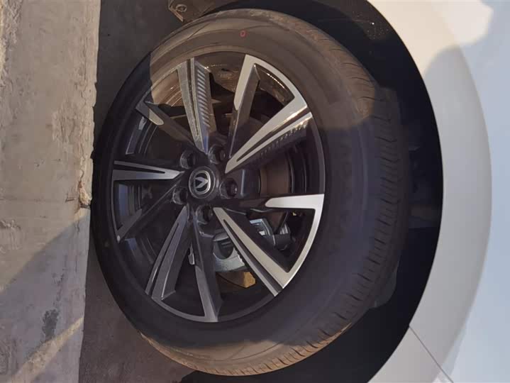 Фото 6 - Changan Eado Plus