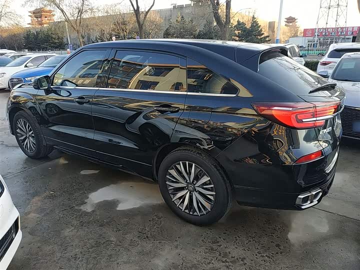 Фото 5 - Honda Avancier