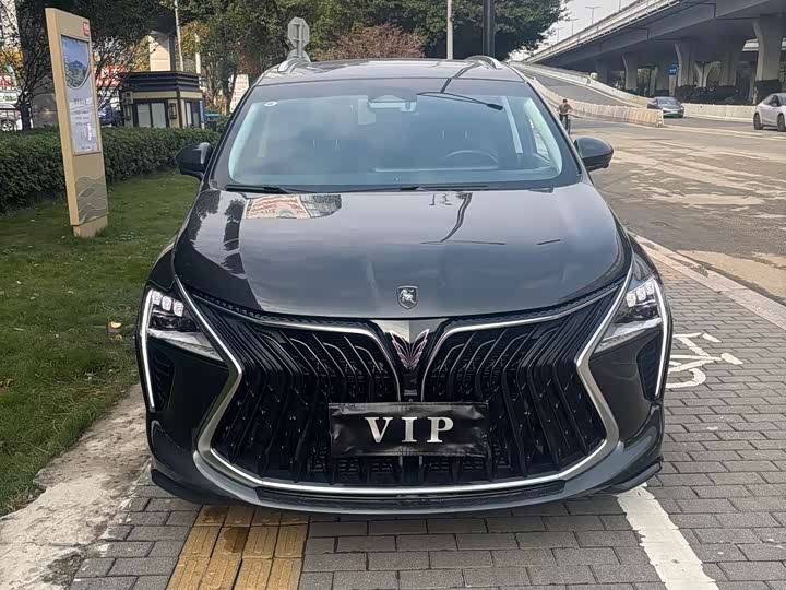 Фото 1 - Dongfeng Forthing Yacht