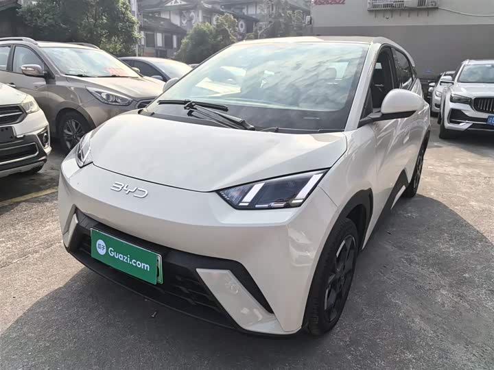 Фото 2 - BYD Seagull