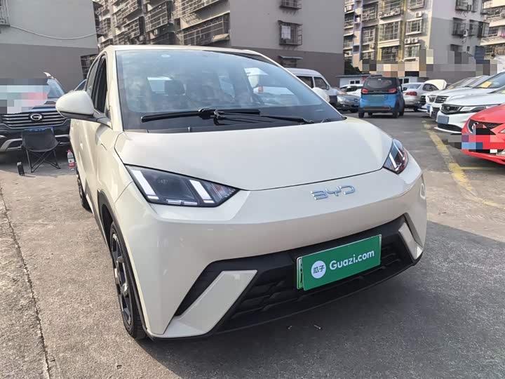 Фото 4 - BYD Seagull